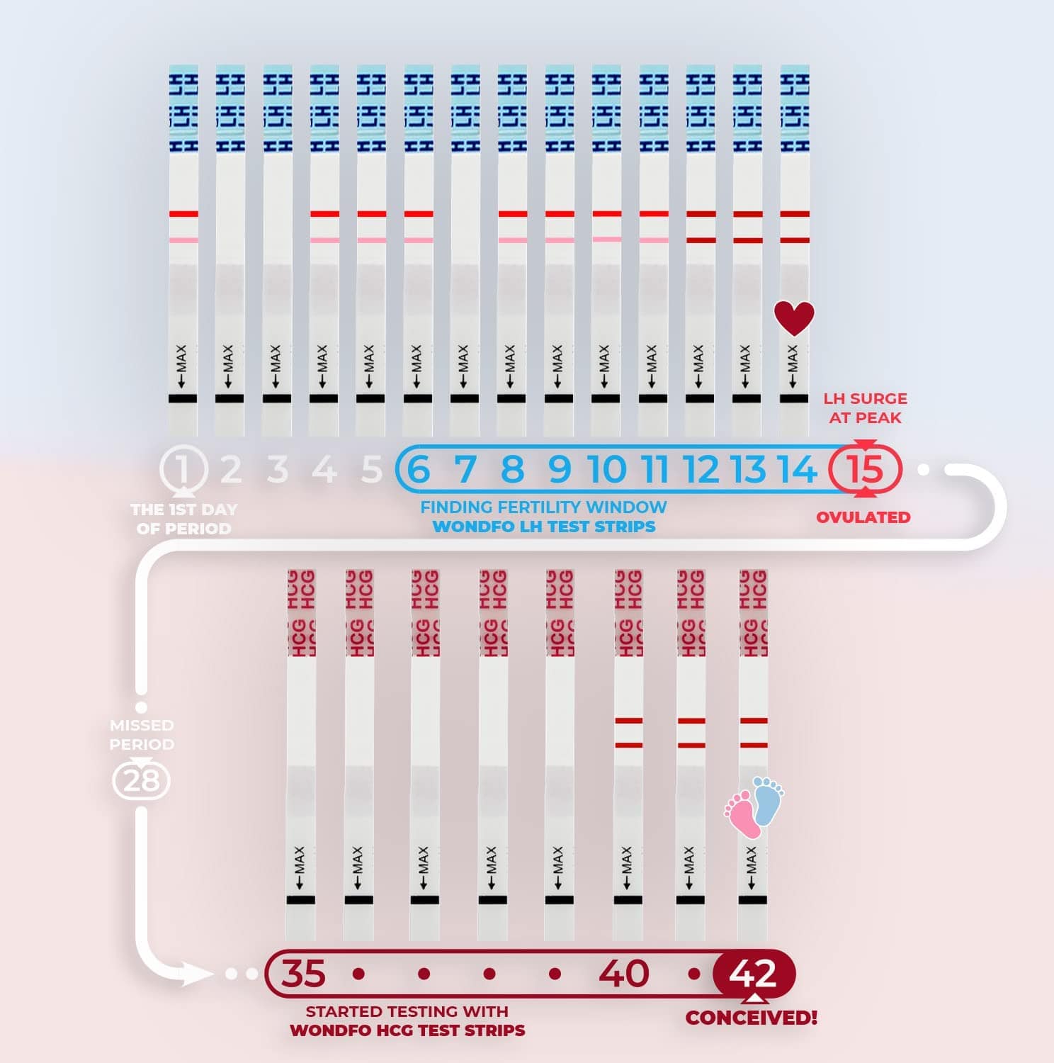 Prime Screen - Wondfo 50 Ovulation Test Strips and 20 Pregnancy Test Strips Kit - Rapid Test Detection for Home Self-Checking (50 LH + 20 HCG)