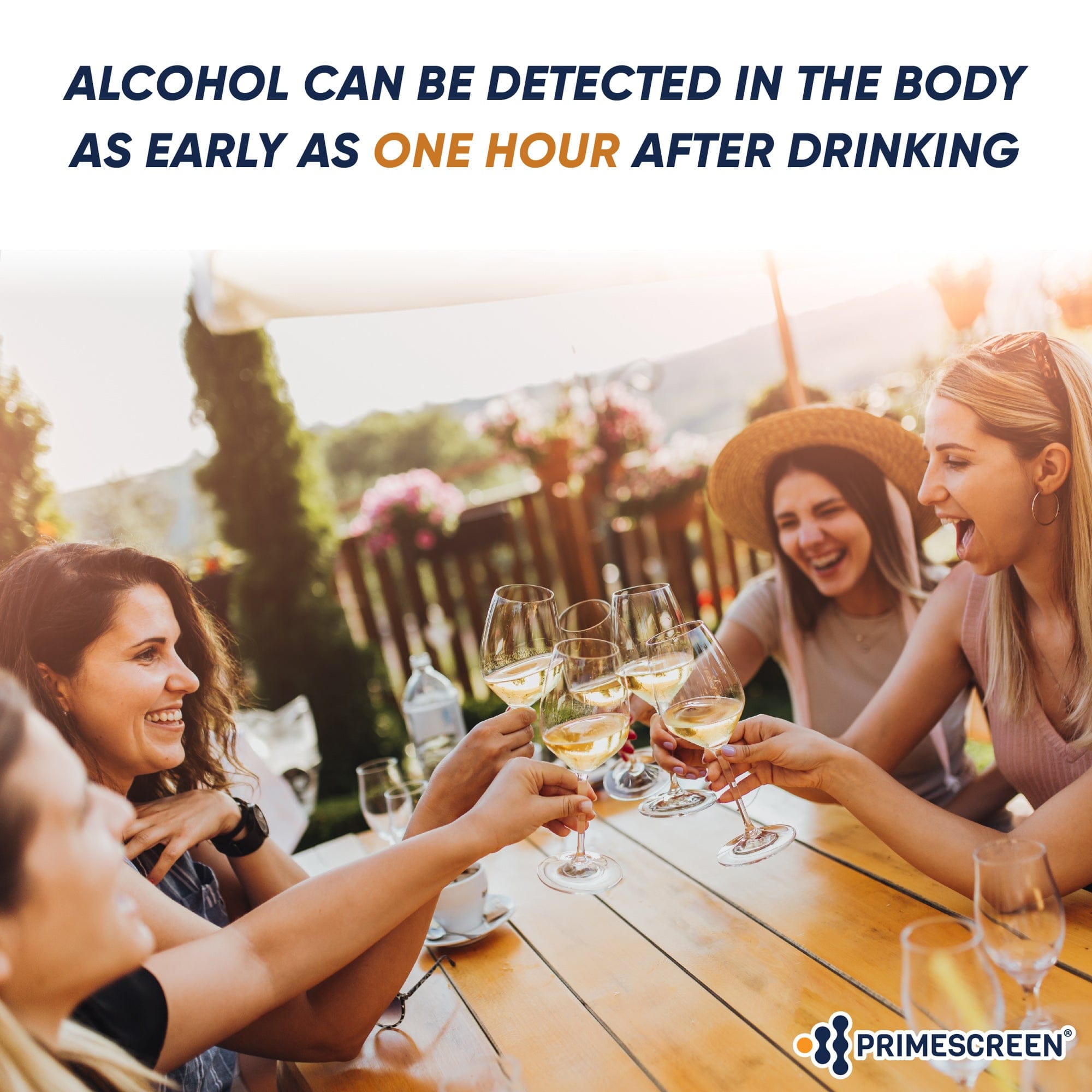 Prime Screen - CLEARANCE! Alcohol ETG Urine Dip Card Test - 80 Hour Low Cut-Off 500 ng/mL - WETG-114 SHORT DATED: EXP 12/24/2025 